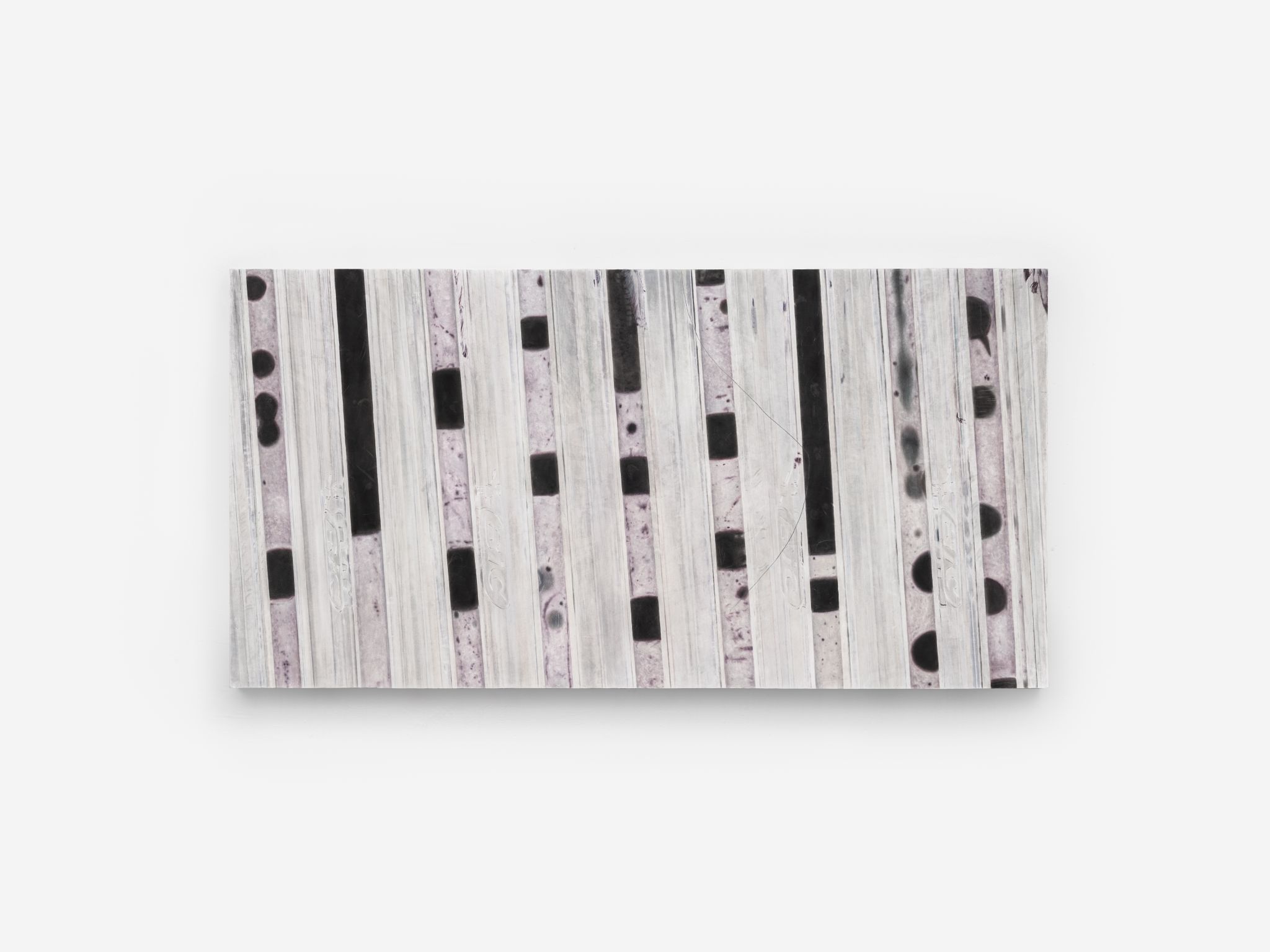 <i>A Dynamic View of Sex Chromosome Evolution</i>, 2024. Pigment, charcoal on paper laminated on wood panel, 30 1/4 x 59 x 2 in (77 x 150 x 5 cm)